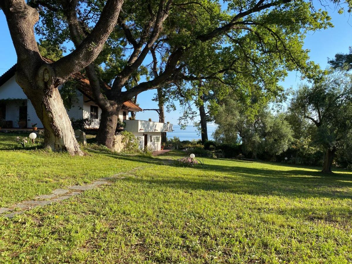 Wild Oaks Cottage Kriopigi Exterior foto