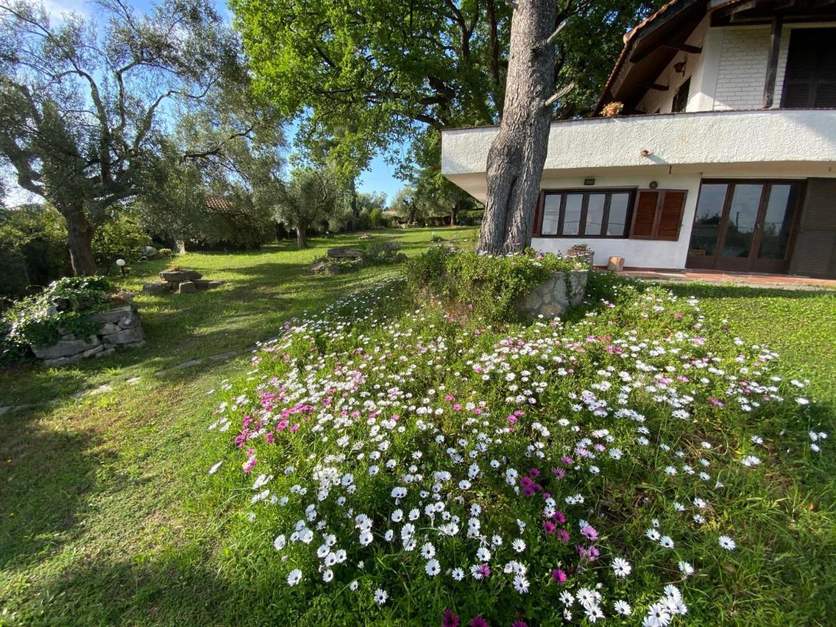 Wild Oaks Cottage Kriopigi Exterior foto